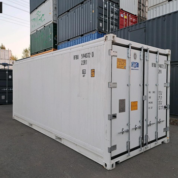 20 Fuß Thermo King Magnum NEU 2025