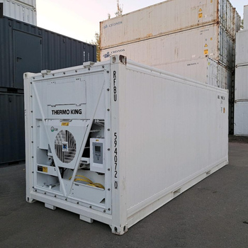20 Fuß Thermo King Magnum NEU 2025