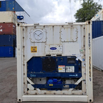20 Fuß Reefer Carrier unlackiert Bj. 2007