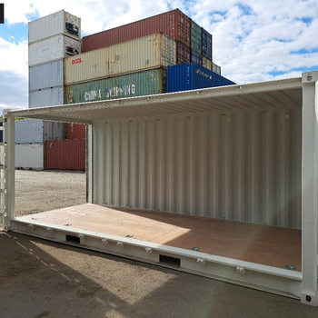 20 Fuß Open Side One Way Lagercontainer RAL 9010