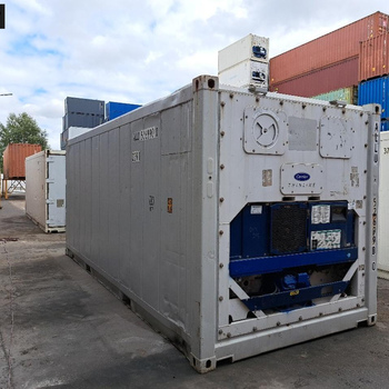 20 Fuß Reefer Carrier unlackiert Bj. 2005