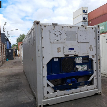 20 Fuß Reefer Carrier unlackiert Bj. 2005