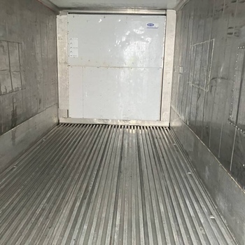 20 Fuß Reefer Carrier unlackiert Bj. 2000